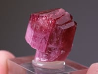 ELBAITE - Tourmaline Double Terminated