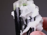 TOURMALINE (ELBAITE) with CLEAVELANDITE