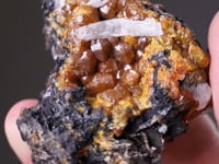 MIMETITE Var. CAMPYLITE