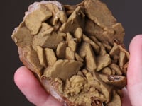 SMITHSONITE epimorphous after CALCITE