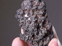 ALLARGENTUM