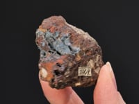 CALOMEL   with NATIVE MERCURY