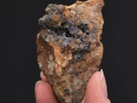 CALOMEL with CINNABAR  and NATIVE MERCURY