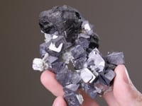 GALENA with SPHALERITE