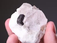 BERYL var MORGANITE with TANTALITE (Mn)