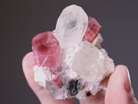 TOURMALINE (ELBAITE) with QUARTZ and MICROCLINE