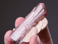 TOURMALINE  on MUSCOVITE