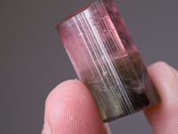 TOURMALINE