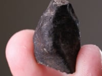 METEORITE (CHONDRITE)  (Fell 30th January 1868)