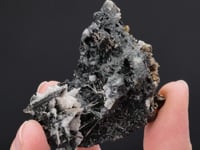BISMUTHINITE   with CASSITERITE and CHALCOPYRITE