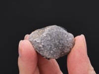GOETHITE var. Wood Iron   with QUARTZ