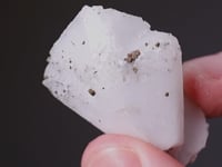 WHEWELLITE