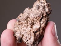 ALLARGENTUM