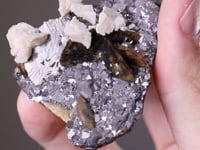 SIDERITE with ANKERITE and GALENA