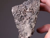 NATIVE SILVER