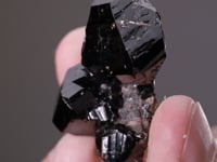 CASSITERITE