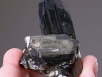 TOURMALINE