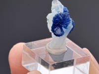 VESZELYITE   on QUARTZ
