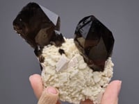 Smoky QUARTZ with MICROCLINE  on  ALBITE