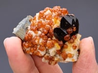 SPESSARTINE with Smoky QUARTZ  and  MUSCOVITE