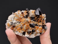 SPESSARTINE on Smoky QUARTZ  on MICROCLINE