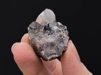FERBERITE after SCHEELITE with SCHEELITE