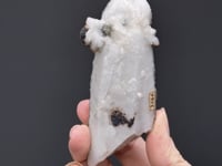 SIDERITE  with  QUARTZ