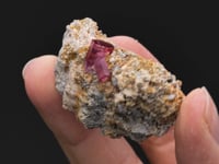 Red BERYL