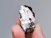 SPESSARTINE with  RHODONITE and GALENA