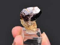 RUTILE