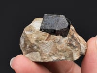 WILUITE