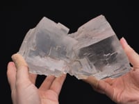 HALITE