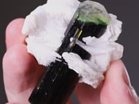 TOURMALINE (ELBAITE) with CLEAVELANDITE