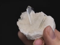 GYPSUM