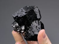 SCHORL