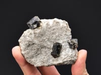 WILUITE