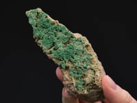 Chrome-Bearing GROSSULAR    DIOPSIDE