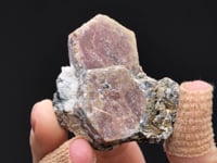 CORUNDUM var. Ruby