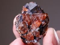 BUSTAMITE with GALENA