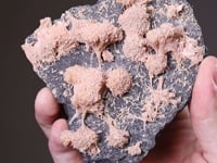 KUTNOHORITE