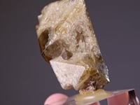 MELLITE