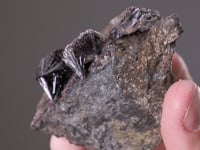 KERMESITE