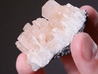 KOVDORSKITE