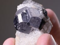 GALENA with CALCITE and QUARTZ