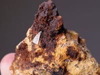 CHLORARGYRITE