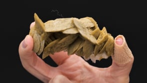 SIDERITE