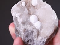POLYHALITE   on Selenite