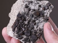 CAFARSITE