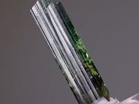TOURMALINE (Vanadian Dravite)