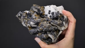 TETRAHEDRITE with CHALCOPYRITE and GALENA